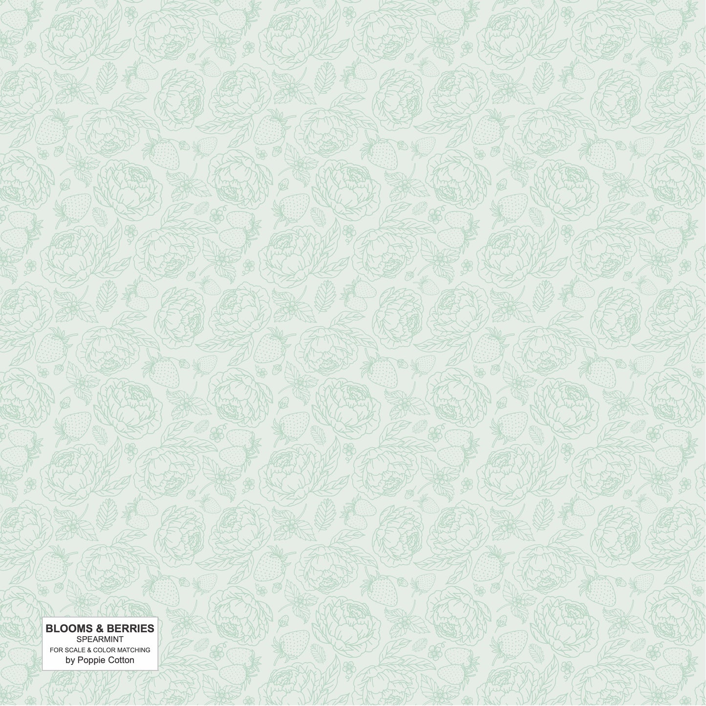 SPEARMINT LIGHT GREEN - Blooms and Berries