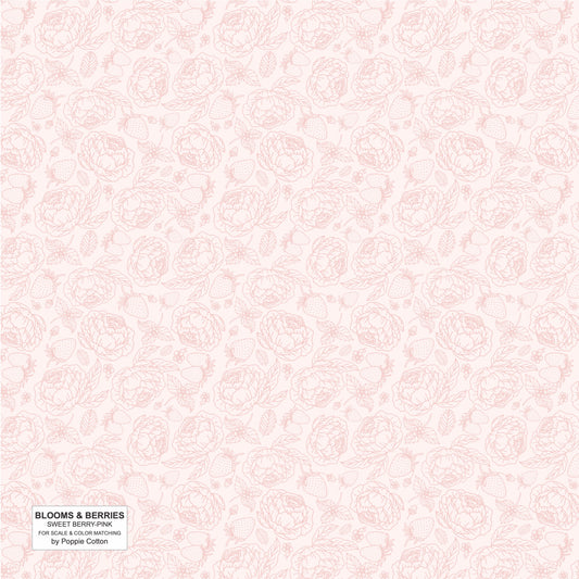 SWEET BERRY PINK - Blooms and Berries