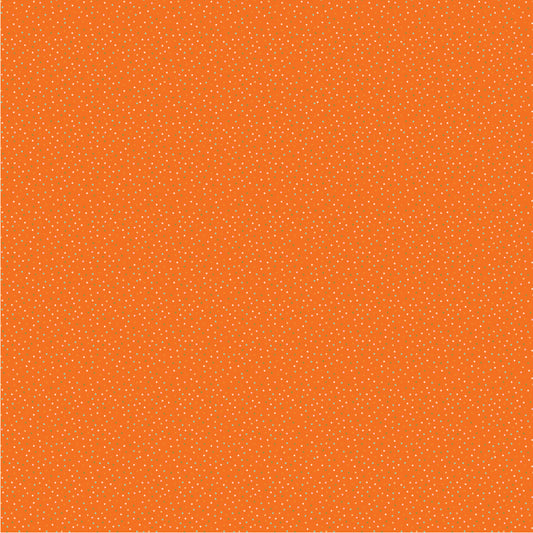 CREAMSICLE - BRIGHT ORANGE - Country Confetti BRIGHTS