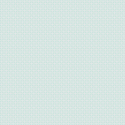 SLOW DOWN TEAL- Le Petit Escargot
