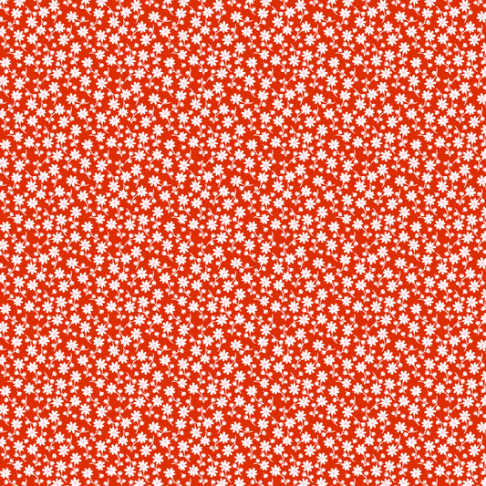 SWEET DAISY RED - Elise