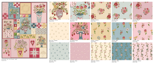 CASE PACK - 16 TEN YARD BOLTS - Enchante'