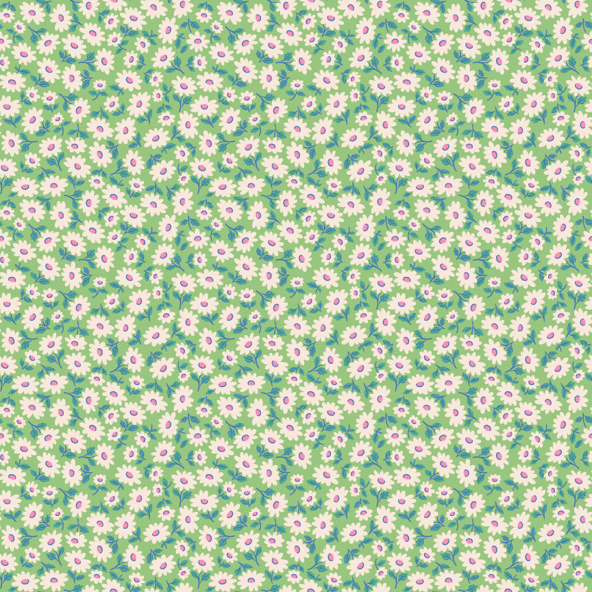 SUGAR DAISY MINT - Bluebells & Buttercups