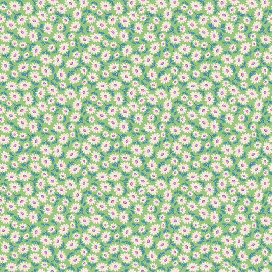 SUGAR DAISY MINT - Bluebells & Buttercups