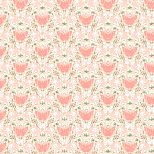 SACRED FLIGHT PEACH - Serenity Blooms